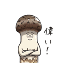 JINGONのきのこ3（個別スタンプ：12）