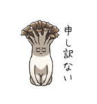 JINGONのきのこ3（個別スタンプ：16）