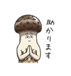 JINGONのきのこ3（個別スタンプ：17）