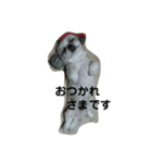 カイちゃんとお友達（個別スタンプ：6）