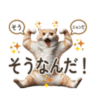 言われて嬉しい！誉め言葉☆猫ちゃん（個別スタンプ：5）