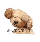 cliffの1日（個別スタンプ：14）