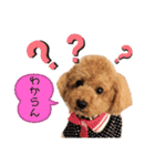 cliffの1日（個別スタンプ：24）