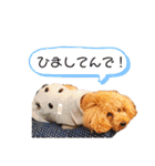 cliffの1日（個別スタンプ：32）