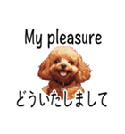 愛犬家のためのスタンプ（トイプー版）（個別スタンプ：5）