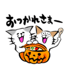 ふでねこ5【秋、ハロウィン】筆文字（個別スタンプ：12）