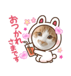 まいにちみーさん（個別スタンプ：12）