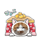 まいにちみーさん（個別スタンプ：21）