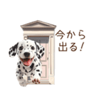 ダルちゃん☆お誘い・待ち合わせスタンプ（個別スタンプ：18）