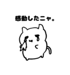 そんなことよりねこを見てよ2（個別スタンプ：17）