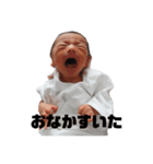 ひなたですが（個別スタンプ：1）