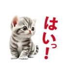 スコティッシュ子猫ちゃんスタンプ（個別スタンプ：24）