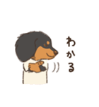 まるっこ犬 ダックスフンド(ブラックタン)（個別スタンプ：28）