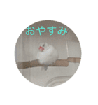 ピ〜キュ〜（個別スタンプ：5）