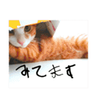 僕は猫のたいやき①（個別スタンプ：4）