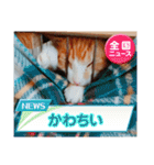 僕は猫のたいやき①（個別スタンプ：38）