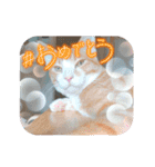 僕は猫のたいやき①（個別スタンプ：40）