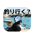大漁！釣り猫エレが釣り竿肩に磯ブラボー！！（個別スタンプ：2）