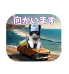大漁！釣り猫エレが釣り竿肩に磯ブラボー！！（個別スタンプ：5）