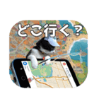 大漁！釣り猫エレが釣り竿肩に磯ブラボー！！（個別スタンプ：6）