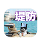 大漁！釣り猫エレが釣り竿肩に磯ブラボー！！（個別スタンプ：7）