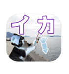 大漁！釣り猫エレが釣り竿肩に磯ブラボー！！（個別スタンプ：14）