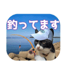 大漁！釣り猫エレが釣り竿肩に磯ブラボー！！（個別スタンプ：21）