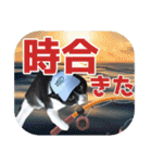 大漁！釣り猫エレが釣り竿肩に磯ブラボー！！（個別スタンプ：24）