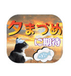 大漁！釣り猫エレが釣り竿肩に磯ブラボー！！（個別スタンプ：26）