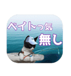 大漁！釣り猫エレが釣り竿肩に磯ブラボー！！（個別スタンプ：28）