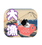 大漁！釣り猫エレが釣り竿肩に磯ブラボー！！（個別スタンプ：30）