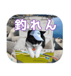 大漁！釣り猫エレが釣り竿肩に磯ブラボー！！（個別スタンプ：32）