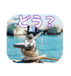 大漁！釣り猫エレが釣り竿肩に磯ブラボー！！（個別スタンプ：35）