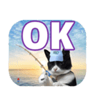 大漁！釣り猫エレが釣り竿肩に磯ブラボー！！（個別スタンプ：39）