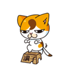 使いやすい。猫（個別スタンプ：18）