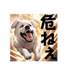 激しい勢いの犬 文字ありver.（個別スタンプ：5）