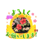 ハイビスカスLINEスタンプ（個別スタンプ：1）