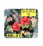 ハイビスカスLINEスタンプ（個別スタンプ：2）