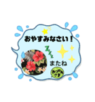 ハイビスカスLINEスタンプ（個別スタンプ：4）