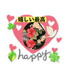 ハイビスカスLINEスタンプ（個別スタンプ：6）