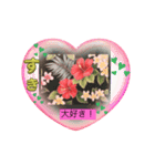ハイビスカスLINEスタンプ（個別スタンプ：7）