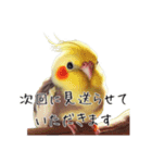 政治家オカメインコ 切り抜きver（個別スタンプ：8）