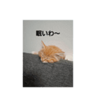 ぽとぺスタンプ（個別スタンプ：1）