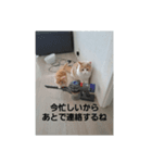 ぽとぺスタンプ（個別スタンプ：2）