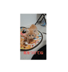 ぽとぺスタンプ（個別スタンプ：3）