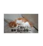 ぽとぺスタンプ（個別スタンプ：5）