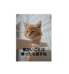 ぽとぺスタンプ（個別スタンプ：6）