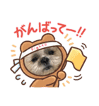 シーズー！ミンス モカ まい（個別スタンプ：5）