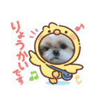 シーズー！ミンス モカ まい（個別スタンプ：7）