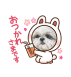 シーズー！ミンス モカ まい（個別スタンプ：10）